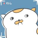 主播和猫的故事 