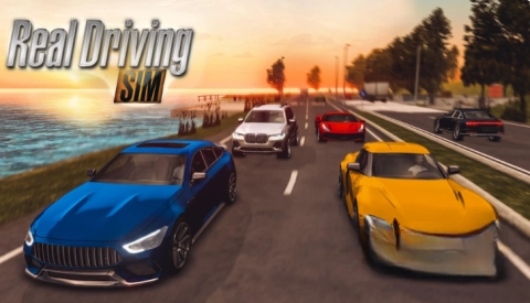 真实驾驶模拟5
