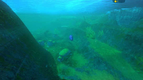 海底大猎杀联机版图6