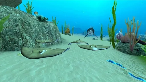 鲨鱼鱼模拟器(1)