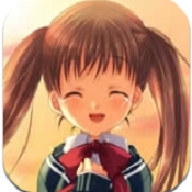 陽光下的真實電腦版