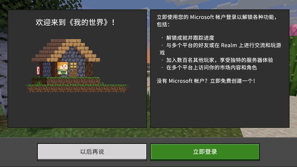 我的世界国际版(3)