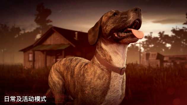 勇闖死人谷2正版