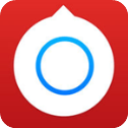 小决定转盘正版