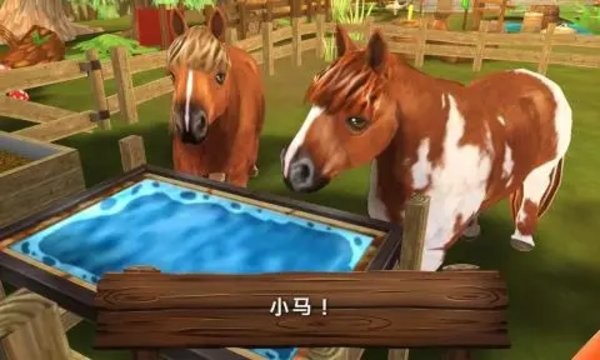 動物旅館手機版