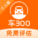 车300二手车估价