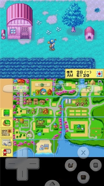 牧场物语精灵驿站(1)