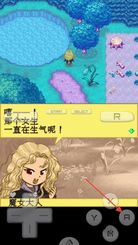 牧场物语精灵驿站(4)