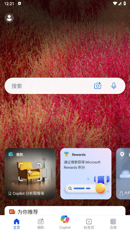 必应搜索引擎入口 (3)