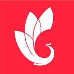 巔峰減重最新版