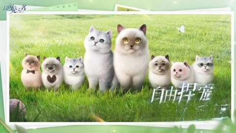 以闪亮之名最新版图1