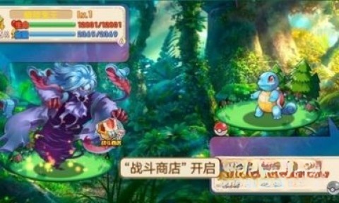 口袋妖怪孤夜凉风X版图5