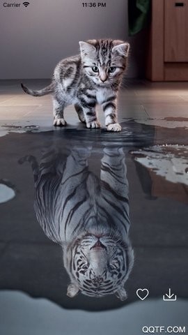 百變桌面壁紙安卓版