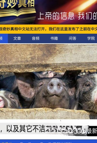 奇妙真相图1