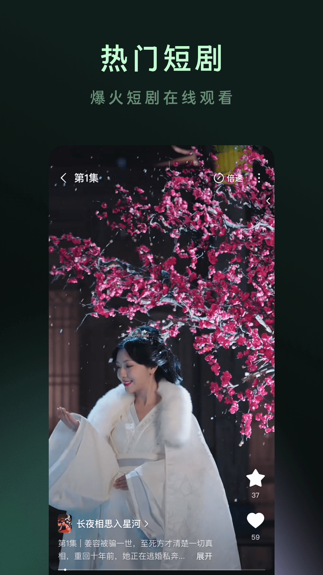 木叶短剧免费播放截图2