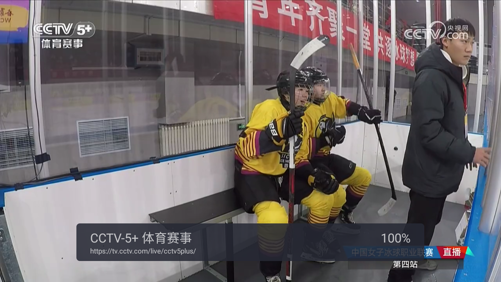 webview电视手机版截图2