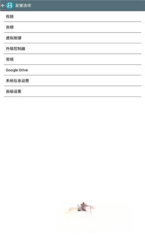 drastic中文版图4