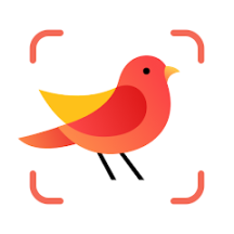 PictureBird拍照识鸟app解锁版