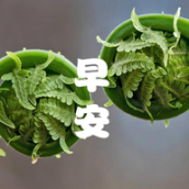  成友早安智能图片祝福语软件
