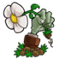 植物大战僵尸废物版
