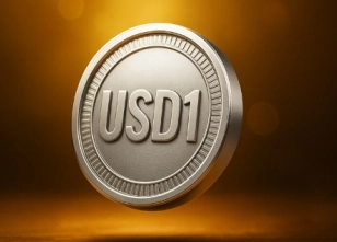 usd1代表什么含義，usd1幣由誰進行發行