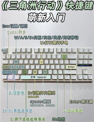 三角洲行動(dòng)快捷鍵都有哪些 三角洲行動(dòng)快捷鍵哪個(gè)是加血