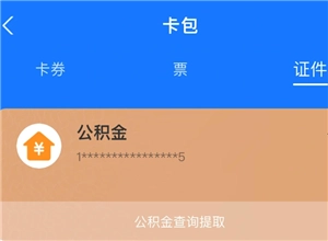 支付寶怎么查公積金賬戶余額 支付寶怎么查公積金繳費記錄明細