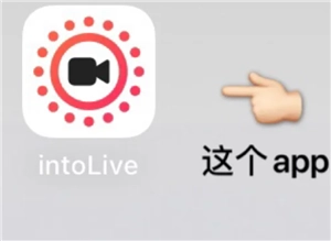intoLive官網入口 intoLive無法打開的原因及解決方法