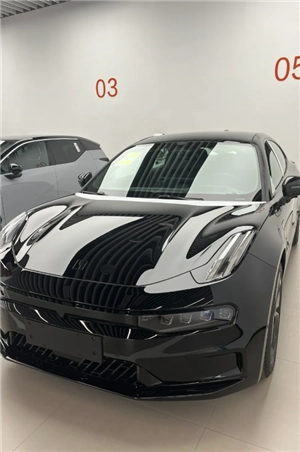 極氪app怎么綁定車輛 極氪app綁定車輛流程步驟