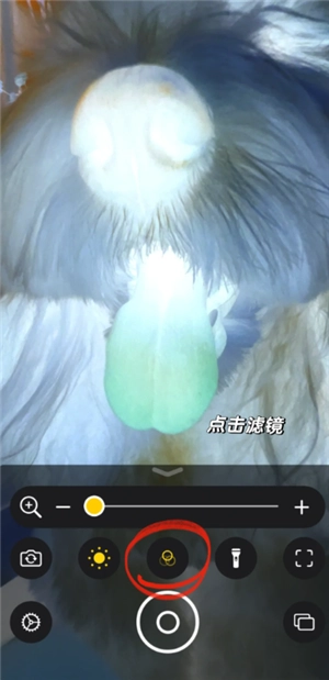 iPhone可以檢查寵物身上的蟲(chóng)子嗎 iPhone寵物寄生蟲(chóng)檢測(cè)方法