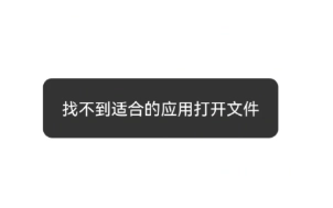 要是迅雷打開文件時找不到合適的應用該如何解決？迅雷打開文件可用的應用軟件都有哪些？