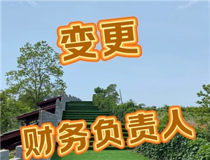 電子稅務局變更財務負責人該怎么操作？電子稅務局變更財務負責人的具體步驟和方法。