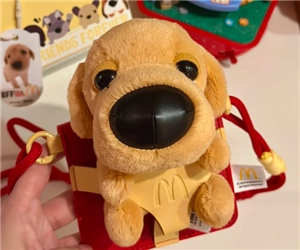 麥當(dāng)勞聯(lián)動(dòng)大頭狗一套多少個(gè) 麥當(dāng)勞聯(lián)動(dòng)大頭狗圖鑒大全