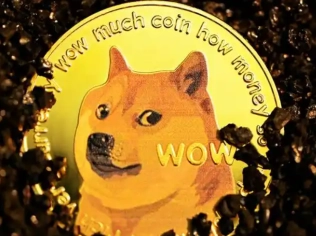 有哪些狗狗幣購買app？狗狗幣在國內哪些網站進行過交易？