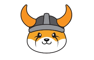 floki幣未來是否具有價值？floki幣能否漲到1美元？