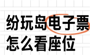 紛玩島出票后如何查看座位，出票后多久能顯示座位？