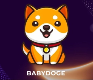 babydoge幣的發(fā)行時間是什么時候，它未來的潛力又如何呢？