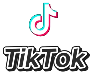 TikTok直播教學：TikTok直播能否賺錢