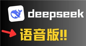 deepseek語音對話的開啟方式及詳細步驟