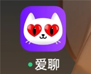 愛聊充值的錢可不可以退？愛聊充值金幣僅僅是用于聊天嗎？