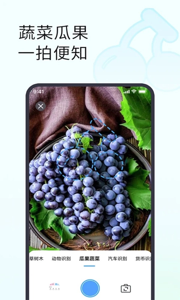 拍照识别植物软件安卓版图5