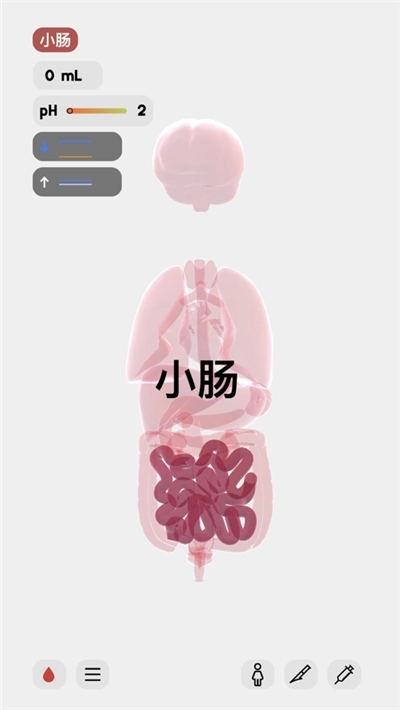 生命模擬器life