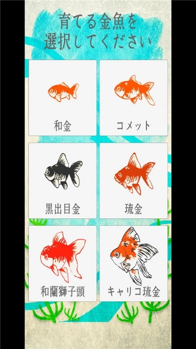 金魚育成图2