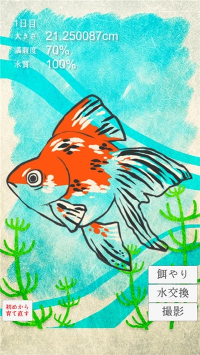 金魚育成图4