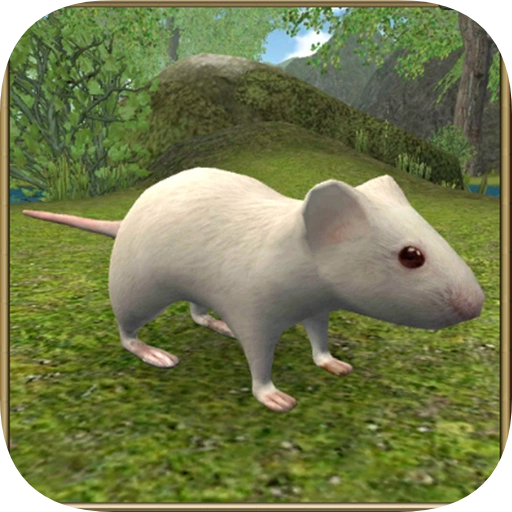 疯狂地鼠3d模拟