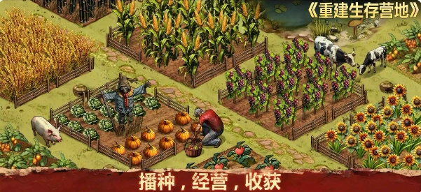 重建生存营地(3)