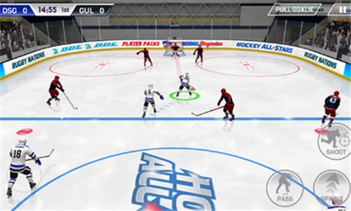 冰球全明星(3)