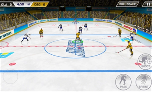 冰球全明星(2)