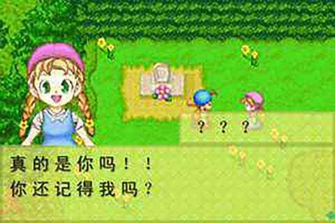 牧场物语男孩版图1