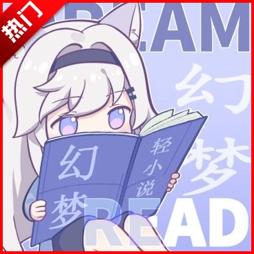 幻梦轻小说安装 